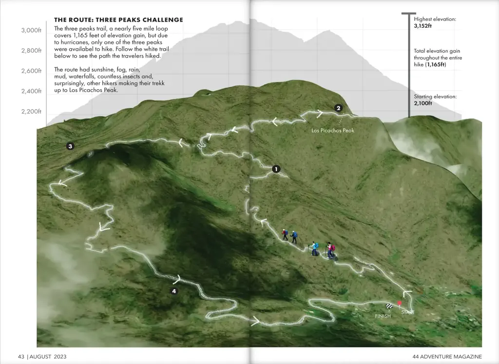 Spread highlighitng the hike we took through the rainforest