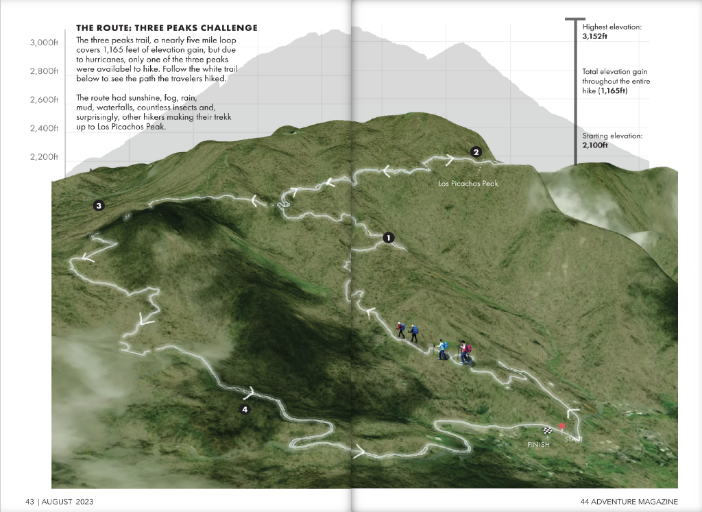 Spread highlighitng the hike we took through the rainforest